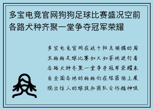 多宝电竞官网狗狗足球比赛盛况空前各路犬种齐聚一堂争夺冠军荣耀